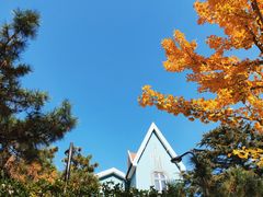 -八大关景区