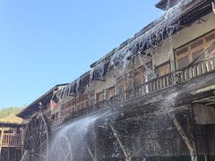 -呀路古热带植物园