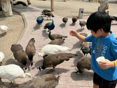 -水上乐园·欢乐世界