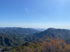 -大岭沟猕猴桃谷风景区