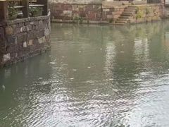 -乌镇东栅景区