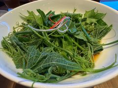 山茶油丝瓜尖-清水亭湖北菜(大屯DT51店)