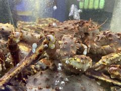 -蟹之国·精品蟹料理(极地店)