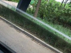 -柳浪游泳场