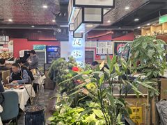 -洞庭家宴·头牌甲鱼(广渠门店)