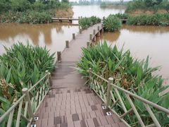 景点-西昌邛海湿地