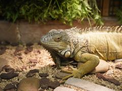 -大连老虎滩海洋公园