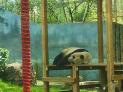 -鄂尔多斯野生动物园