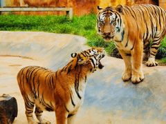 -昆明动物园