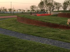 -春花秋色城市公园