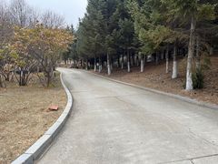 -长春世界雕塑园冰雪艺术天地