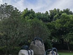 -上海浦东嘉里大酒店