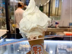 -野人先生现做冰淇淋(西安赛格店)