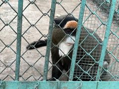-秦皇岛野生动物园