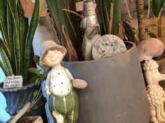 -Jo's Garden
