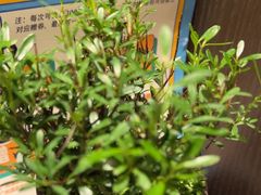 -广州酒家(中华广场店)