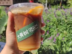 -大青树咖啡(大理古城店)