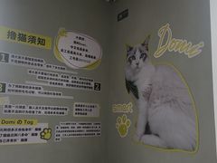 -上海浦东smart汽车全功能店(金桥店)