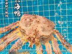 -佬太公海鸭·海鲜大排档(上海总店)