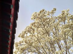 -北京石刻艺术博物馆(五塔寺)