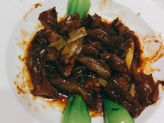 红烧蹄筋-紫光园·烤鸭·北京菜(劲松店)
