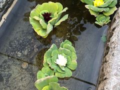 -新竹里馆·花园餐厅(兴苑路店)