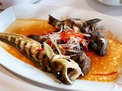 -双合园·海鲜水饺青岛菜(九水东路店)