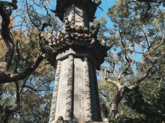 -普陀山风景名胜区-法雨禅寺