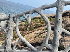 -三亚蜈支洲岛旅游区