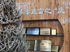 -北京鹿世界主题园