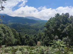 -大浪坝森林公园