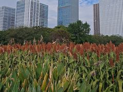 -尚贤河湿地