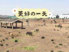 -新疆天山野生动物园