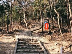 -上海佘山国家森林公园天马山园