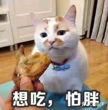 满江红香辣鸭头锅图片