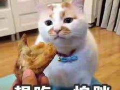 -满江红香辣鸭头锅