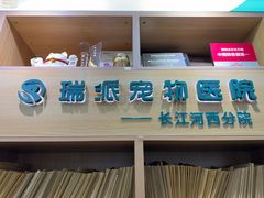 -瑞派长江宠物医院·猫科·外科·24小时夜护(谊城公寓分院)