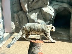 -青藏高原野生动物园