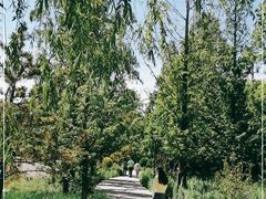 -元大都城垣遗址公园