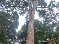-都江堰普照寺