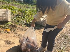 -前小桔亲子创意农场·草莓采摘·露营烧烤