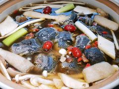-土连锅·现熬养生汤锅(梁家巷店)