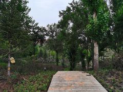 -长春市南湖公园