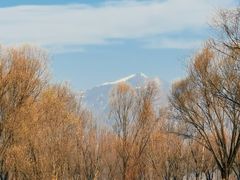 -野鸭湖国家湿地公园