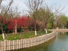 -绿岛公园(滨海新区)