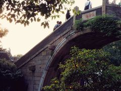 -运河游船(武林门码头)