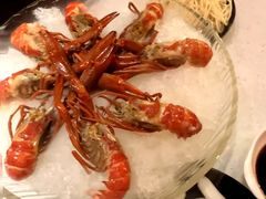 -红盔甲·小龙虾(天钥桥店)