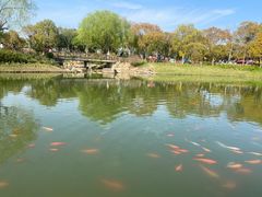 -嘉北郊野公园