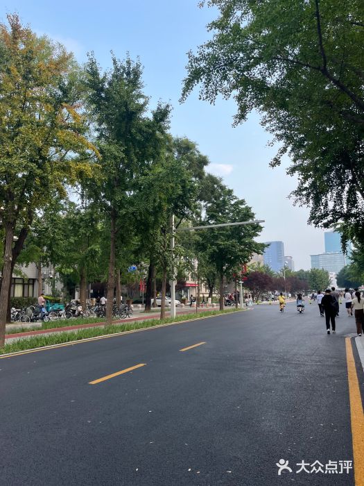 博雅塔图片