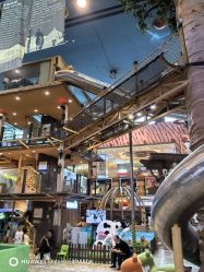 -卡通尼·Safari非洲探索乐园·生日会(金桥国际商业广场店)